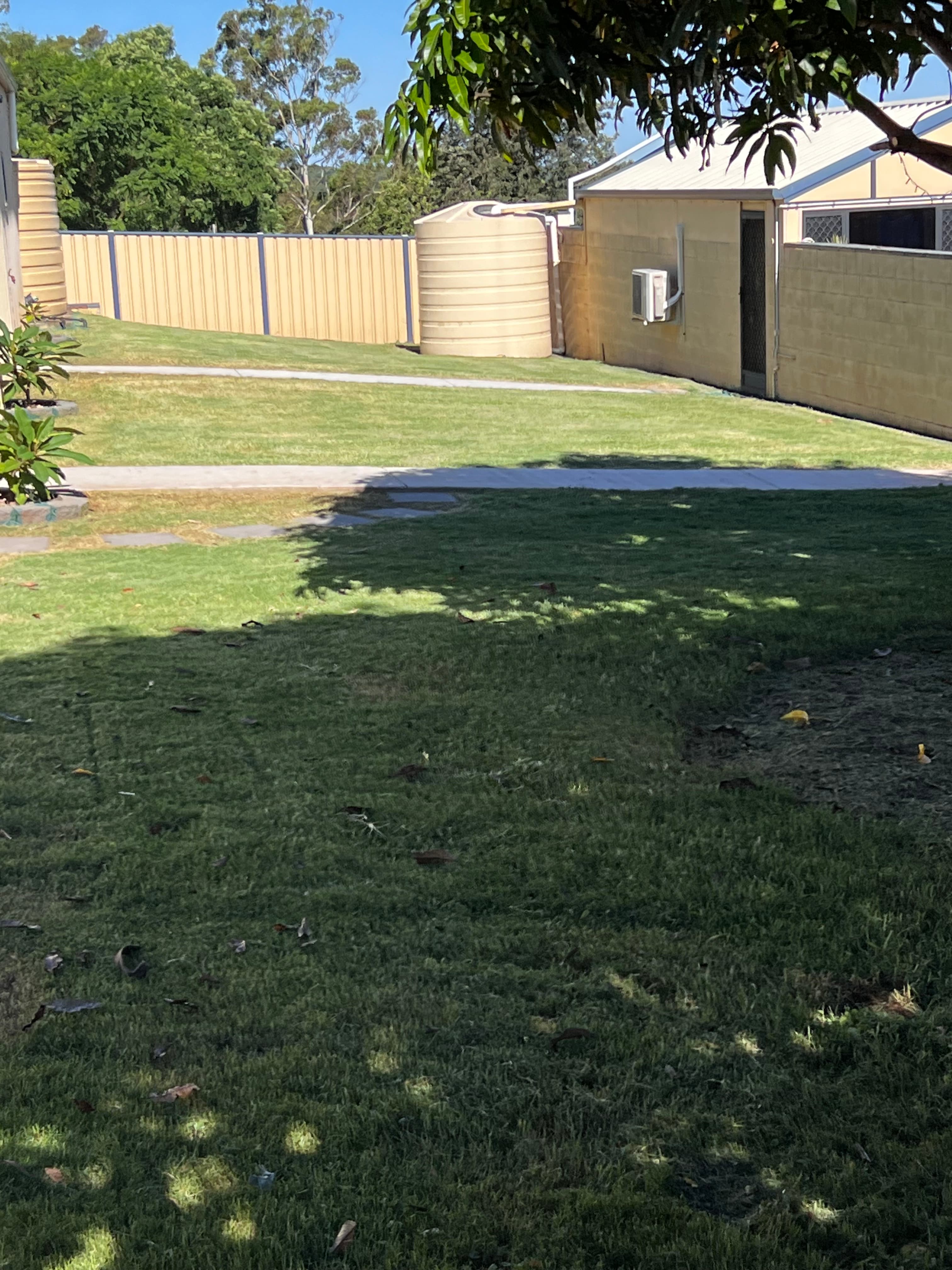 Perfectly manicured lawn after professional maintenance