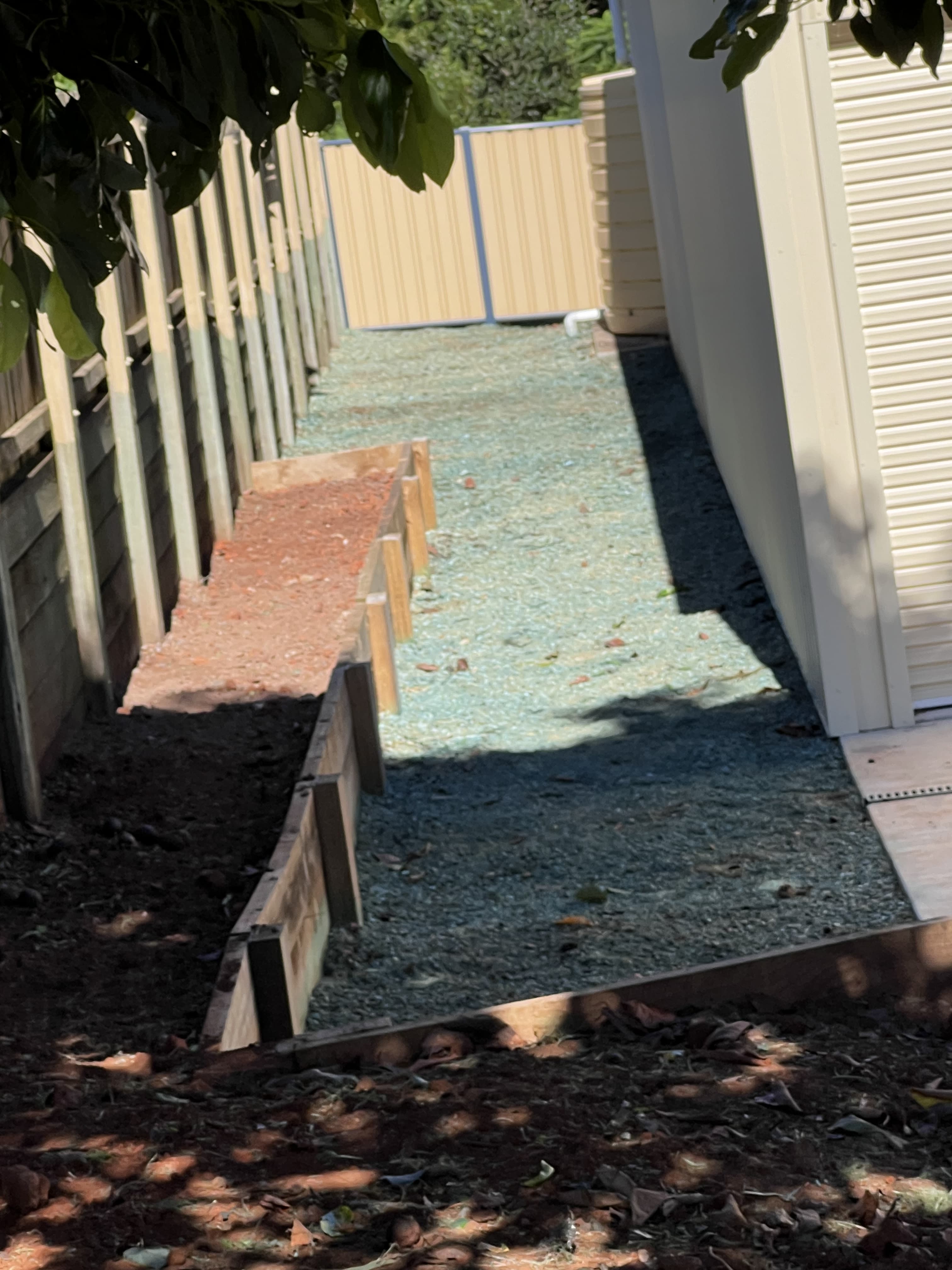 Beautifully maintained yard after professional care